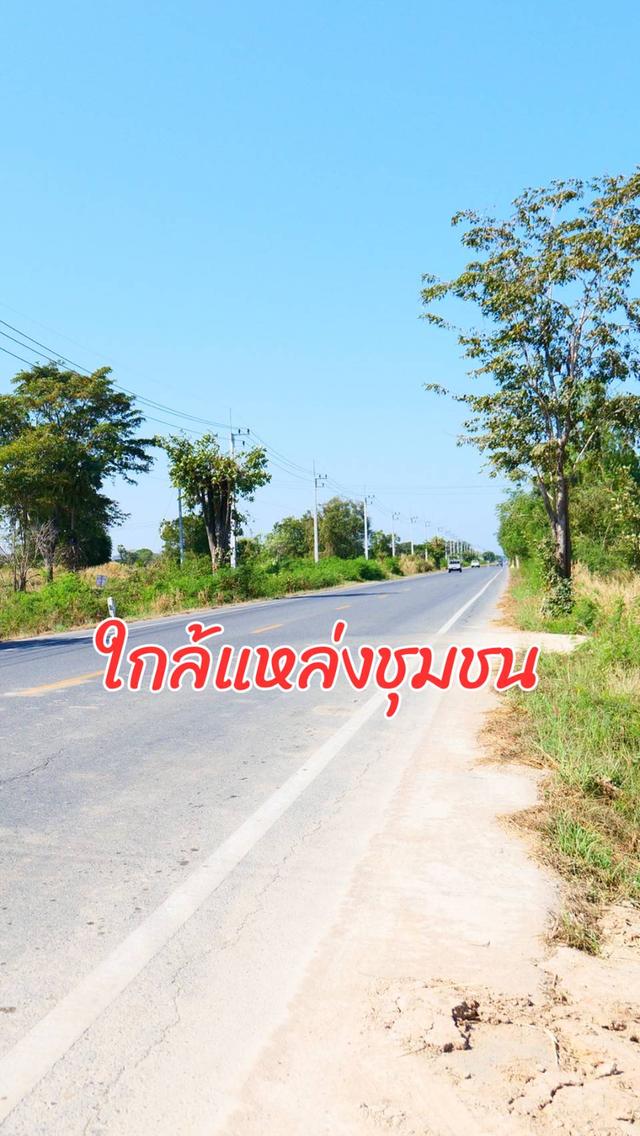 ขายที่ดินสุพรรณบุรี ราคาถูก ถมแล้ว ติดถนนเส้นหลักกรุงเทพ-ด่านช้าง ทำเลดี น้ำไม่ท่วม เหมาะสร้างบ้านหรือทำธุรกิจ อ. หนองหญ้าไทร ใกล้กรุงเทพ 2 ชั่วโมง 16