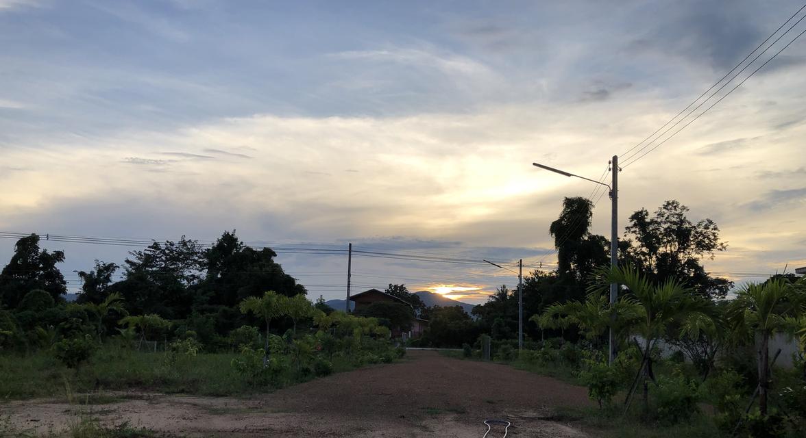 ขายที่ดิน 4 ไร่ พร้อมบ้านสวน ติดทางหลวง (ทล.1272 เมืองเก่า-คีรีมาศ) ใกล้อุทยานประวัติศาสตร์สุโขทัย 