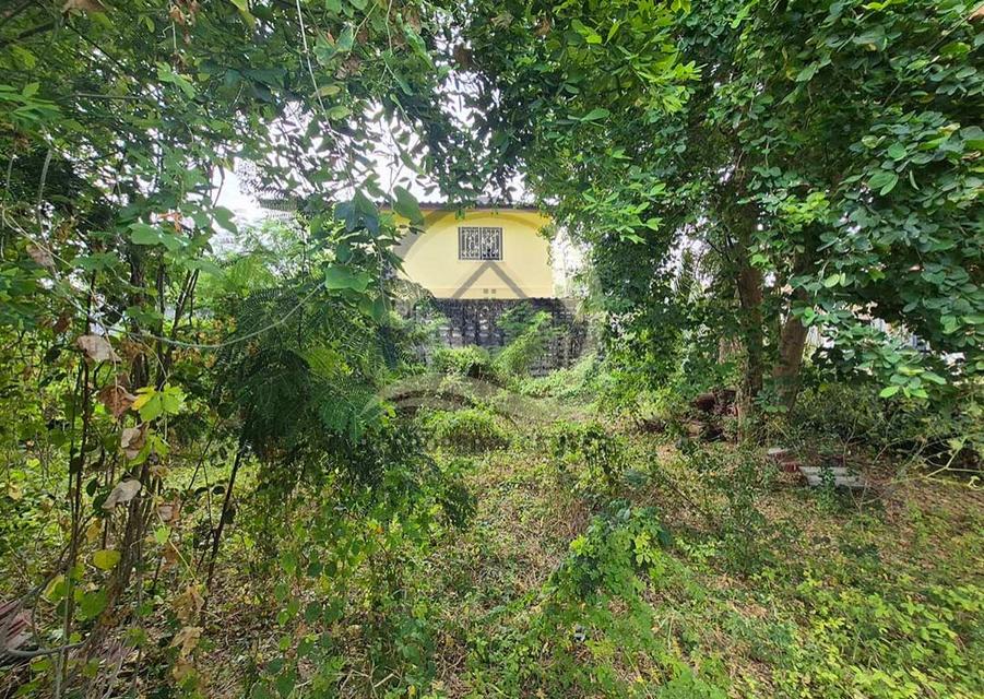 ที่ดินเปล่า 92 ตร.ว. ( ถมแล้ว ) ซอย รามอินทรา 8 แยก 9 8