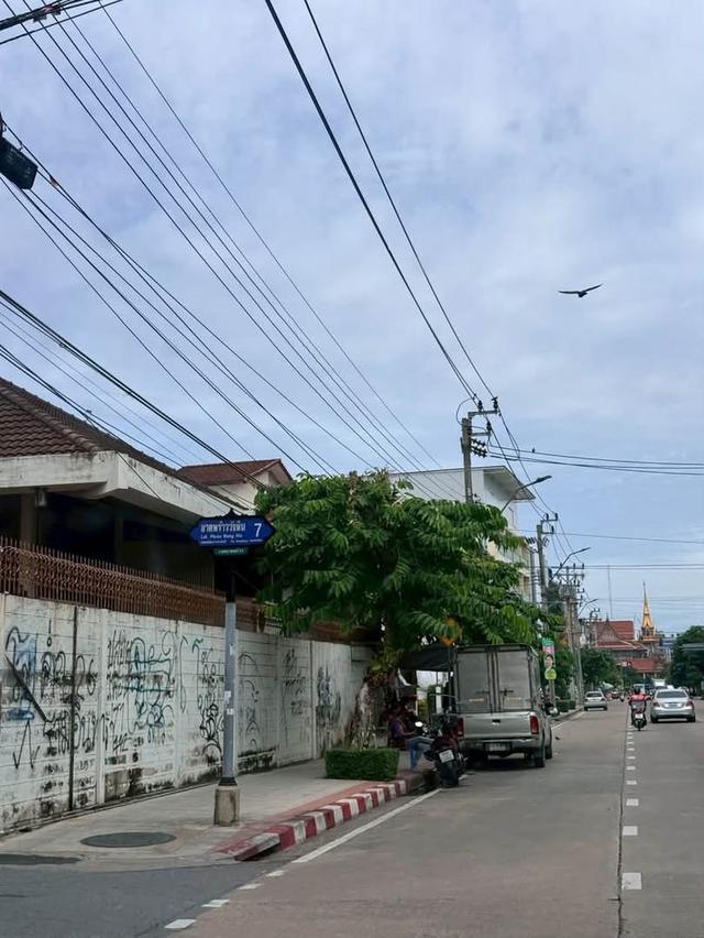 ขายด่วนที่ดินใกล้รถไฟฟ้า 50 ตารางวา ติดถนนสาธารณะ2ด้าน แปลงมุม ชอย พัฒนาสามัคคี 9 บางกะปิ กทม. 2