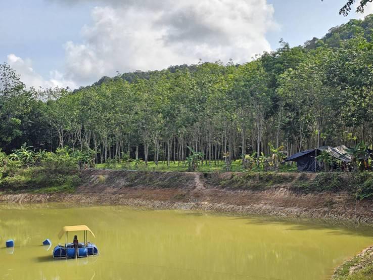 ขายสวนทุเรียน 38 ไร่ ติดถนนสาธารณะ  นายายอาม จันทบุรี 9