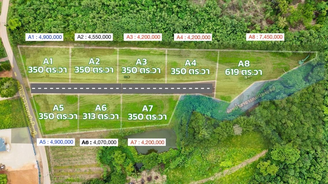 ขายที่ดินหมูสี ที่ดินปากช่อง ที่ดินเขาใหญ่ สูงกว่าระดับน้ำทะเล 375  