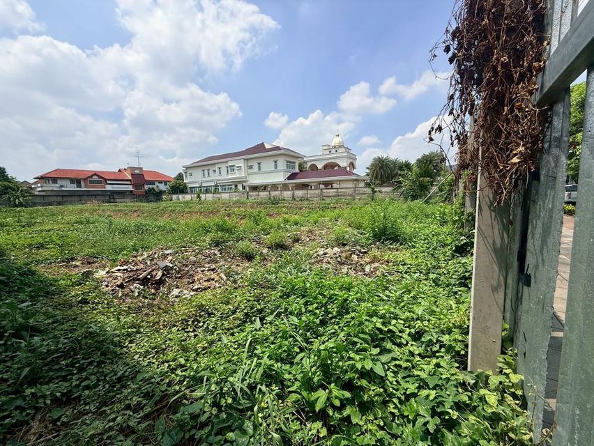 ขายด่วนที่ดิน 704 ตรว ติดถนนพุทธมณฑลสาย 2 ถนนพุทธมณฑลสาย 2 เขตบางแค กทม 5