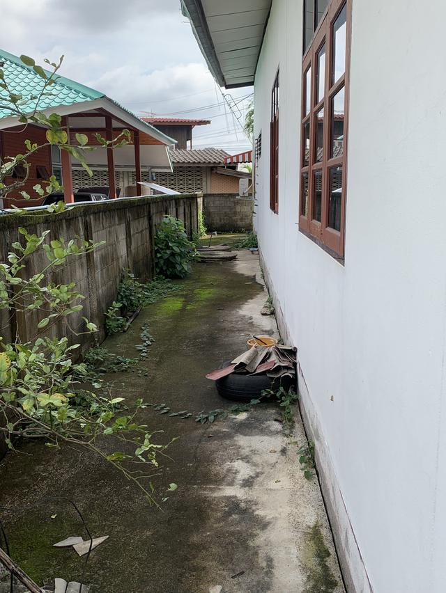 ขายที่ดินพร้อมโกดัง ด้านหน้าติดถนน ม.2 ต.ป่าซาง ออ.ป่าซาง จ.ลำพูน 12