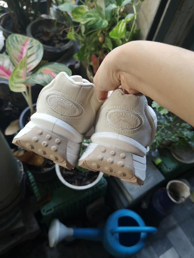 Corolla Colorblock Shoes รองเท้าผ้าใบผู้หญิง สีขาวนวล ไซต์ 40 (25 cm) 3