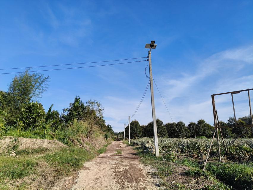 ( ด่วน )ขายที่ดิน อ.แกลง ระยอง ยกแปลง เนื้อที่ 4 ไร่ - 49.6 ตารางวา 3