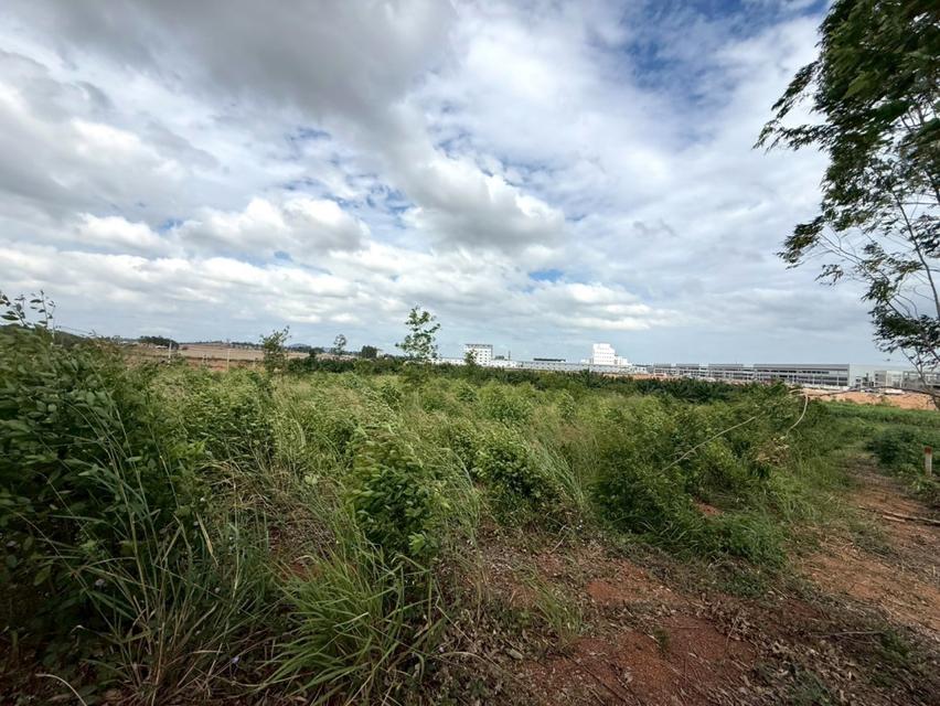 ขาย ที่ดิน ME392 EEC ม่วงลาย ติดนิคมเอเชียคลีน ห้างสูง หนองใหญ่ ชลบุรี . 18 ไร่ 3 งาน 65 ตรว ใกล้ ท่าเรือแหลมฉบัง และถนน 4