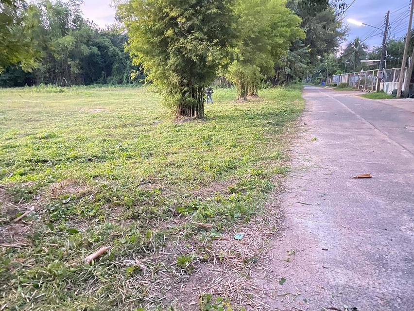 ที่ดิน อ.เมือง จ.อุบลราชธานี 4