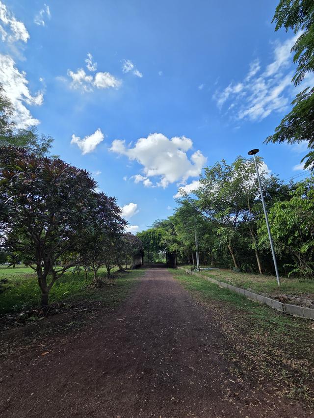 ขายที่ดิน 14 ไร่ แบ่งแปลงแล้ว สามพร้าว 3