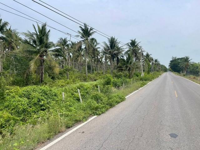 ขายที่ดินหนองเสือปทุมธานี ขายที่ดินคลอง9ปทุมธานี .บึงบอน อ.หนองเสือ จ.ปทุมธานี เนื้อที่ 147-0-20 ไร่