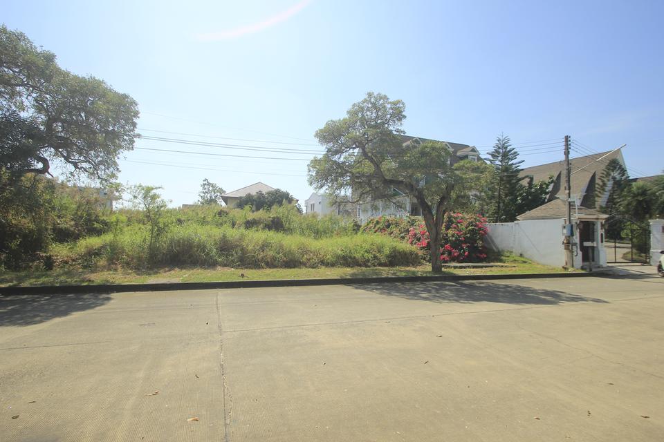 ที่ดินถนนบรมราชชนนีปิ่นเกล้านครชัยศรี ที่ดินสร้างบ้าน396.8ตารางวา หมู่บ้านวริยาวิลล์ หมู่บ้านติดถนนใหญ่ ซอยแรกของโครงการ ใกล้มหิดลศาลายา 11