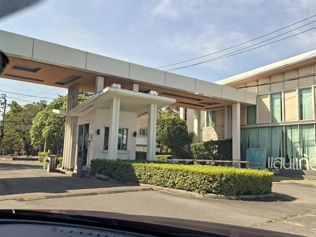 ให้เช่าบ้านเดี่ยว 2 ชั้น 58 ตร.วา 3 ห้องนอน พฤกษาปูริ กิ่งแก้ว 37 พร้อมอยู่ ทำเลดี วิวสวนหลังมุม เป็นส่วนตัว ใกล้สนามบิน 1