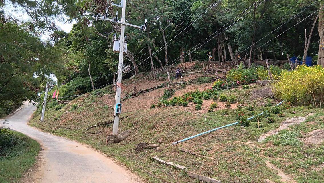 ต้องการขายที่ดินติดถนน ติดทะเล ใกล้ หาดในหาน 1