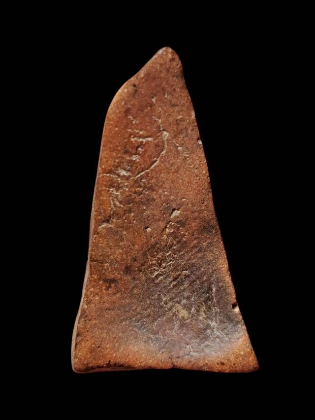 เปิดจ้า💞สนใจทักแชทได้เลยนะคะ 💚ส่งฟรีค่ะ 🥰 รูปที่ 3