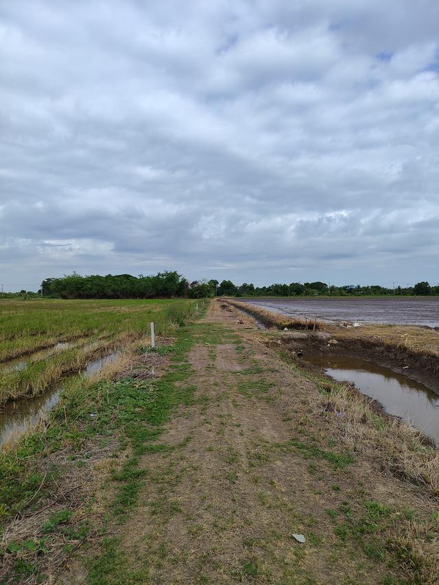 ขายที่ดิน ถนนคลองสิบ-สิบสี่ ซอย7 แขวงคลองสิบ เขตหนองจอก กรุงเทพฯ 18