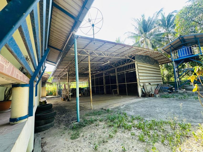 ขายที่ดินพร้อมสิ่งปลูกสร้าง โกดัง-โรงงาน เนื้อที่ 2-2-35ไร่ ติดถนนทำเลดี ใกล้บ้านหัวกุญแจ ตำบลคลองกิ่ว อำเภอบ้านบึง ชลบุรี มีโรงรถ บ้านพักคนงาน 9