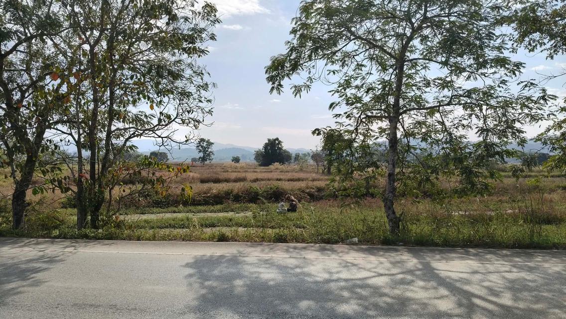 ที่ดิน 6 ไร่ อ.เมือง จ.เชียงราย 1