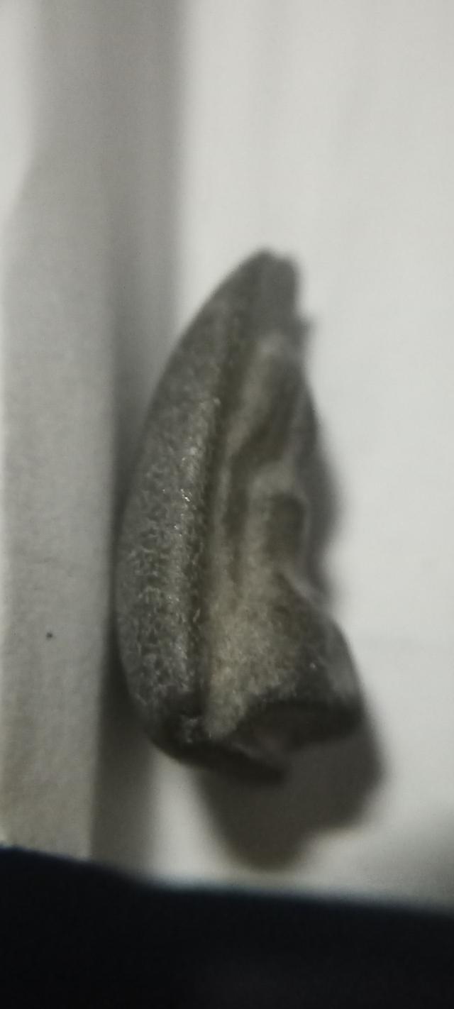 พระเครื่อง 4