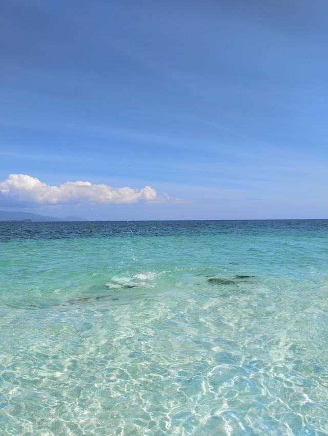 ที่ดินเกาะราบ ใกล้กับเกาะสมุย เดินทางด้วยเรือ หางยาว เรือสปีดโบ๊ท 4