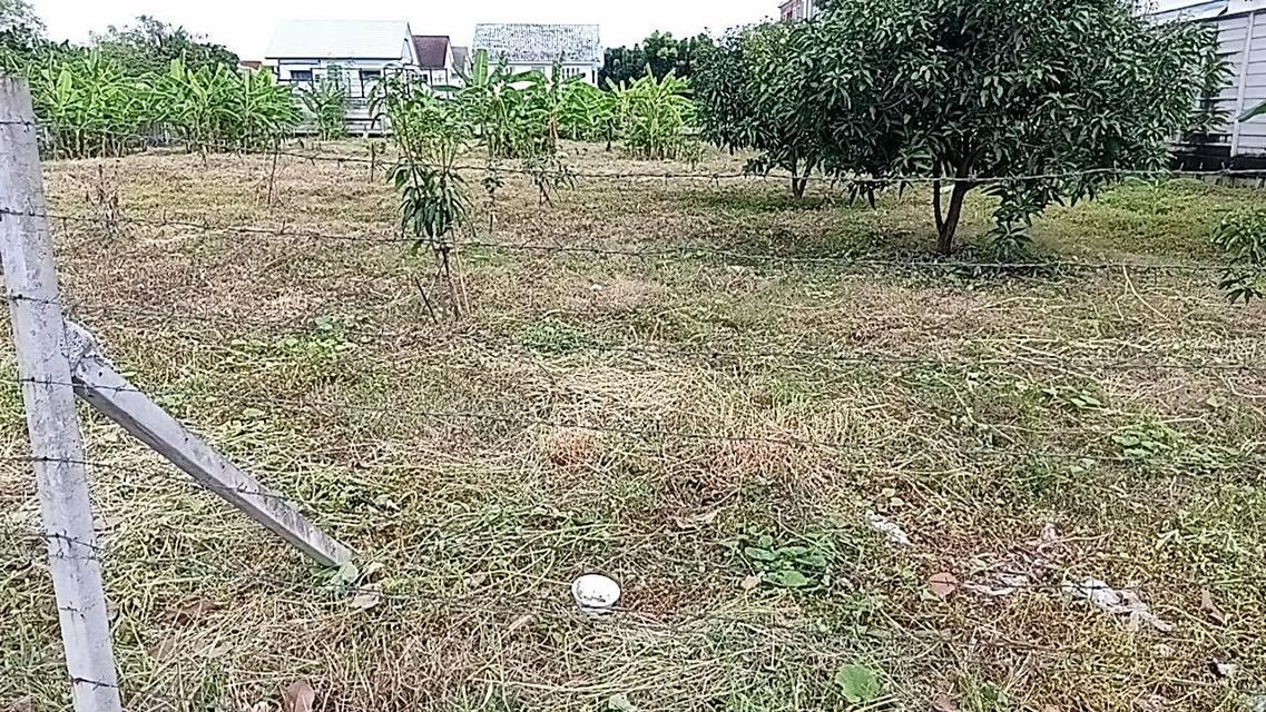 ที่ดิน เปล่าทำเลดี ติดถนนวัชรพล เวนิสดิไอริส  หมู่บ้านเศรษฐสิริวัชรพล 5