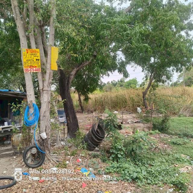 Vายที่ดิน 50 ตารางวา ใกล้โลตัส รังสิต คลอง7 ติดถนนคอนกรีต รังสิต-นครนายก ค.8 ชุมชนสุสวาส 2 ธัญบุรี ปทุมธานี 5