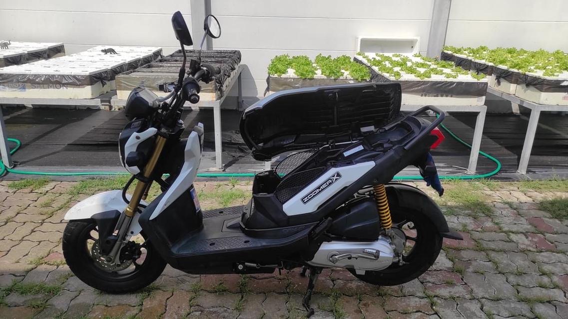 Honda Zoomer X 2012 จังหวัด สมุทรปราการ 2