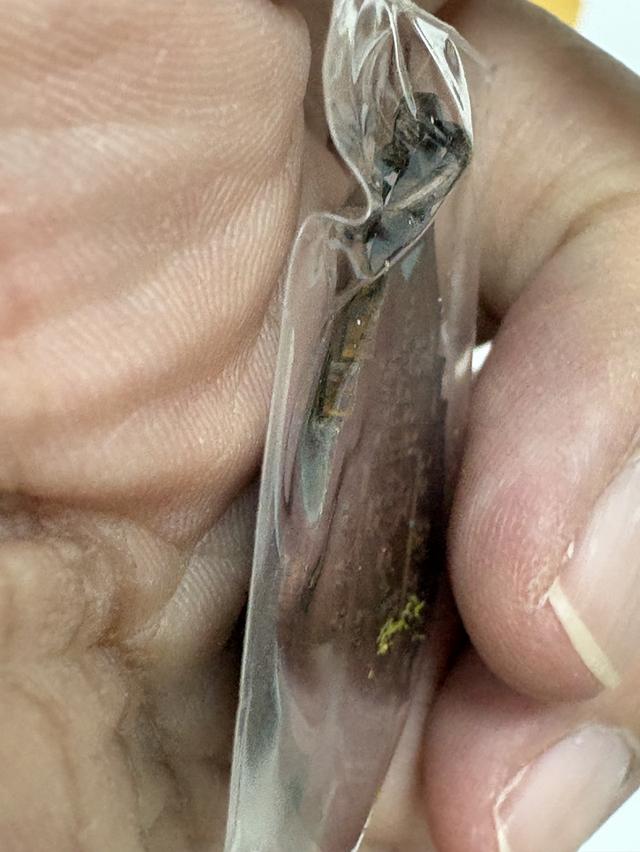 #รับประกันพระแท้ หลวงพ่อรุ่ง รูปที่ 9