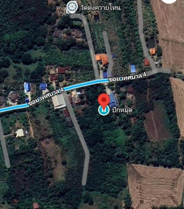 ที่ดินเปล่าไม่มีสิ่งปลูกสร้าง 3