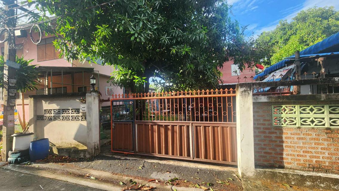 บ้าน+ที่ดิน 8