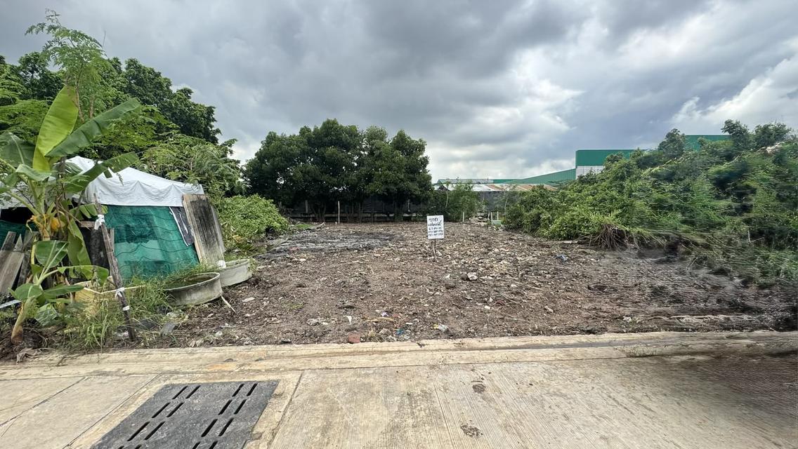 ขายที่ดิน 67.8 ตรว สุขสวัสดิ์ 78 ซอยวัดชังเรือง คู่สร้าง-คู่สม โครงการ3 ซอย 4/3 ราคาถูก ใกล้ตลาดคู่สร้าง 1