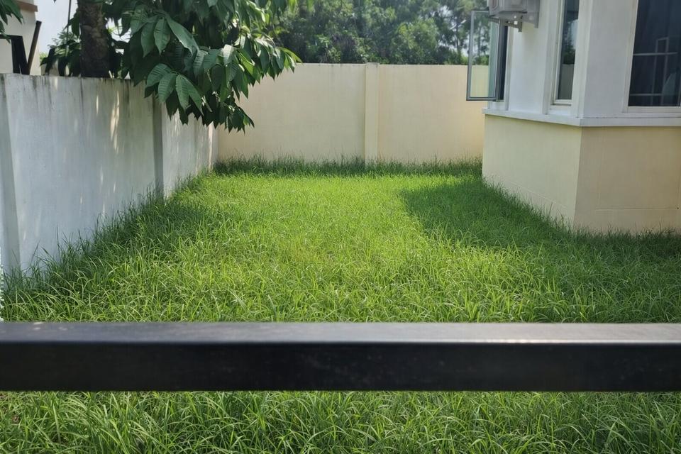 ขายบ้าน 70.5ตรว หมู่บ้านบดินทร3 คลอง7 ลำลูกกา 4