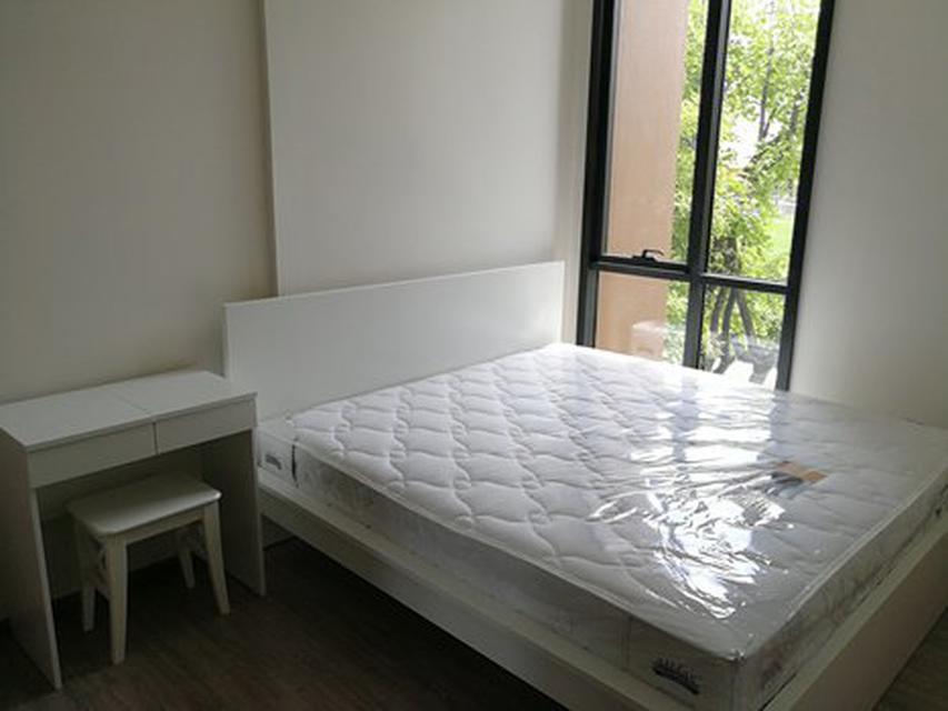 Condo next to BTS On Nut for rent  Mori Haus 1 bed 5