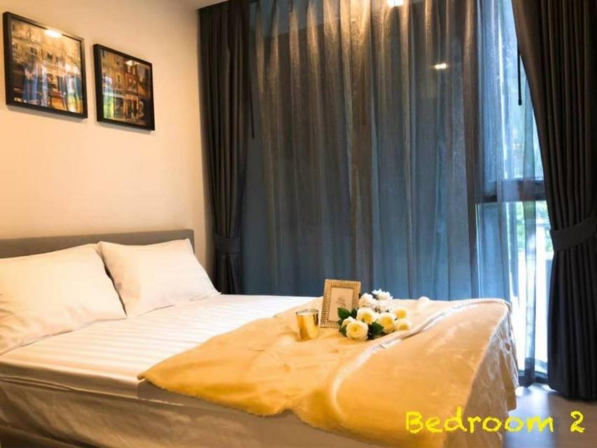 ให้เช่า คอนโด Quintara Treehaus Sukhumvit 42 46 ตรม 2