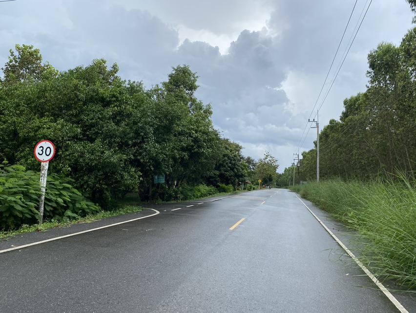 ขายที่ดินพร้อมบ้าน เนื้อที่ 365 ตารางวา อ.เกาะจันทร์ จ.ชลบุรี 10