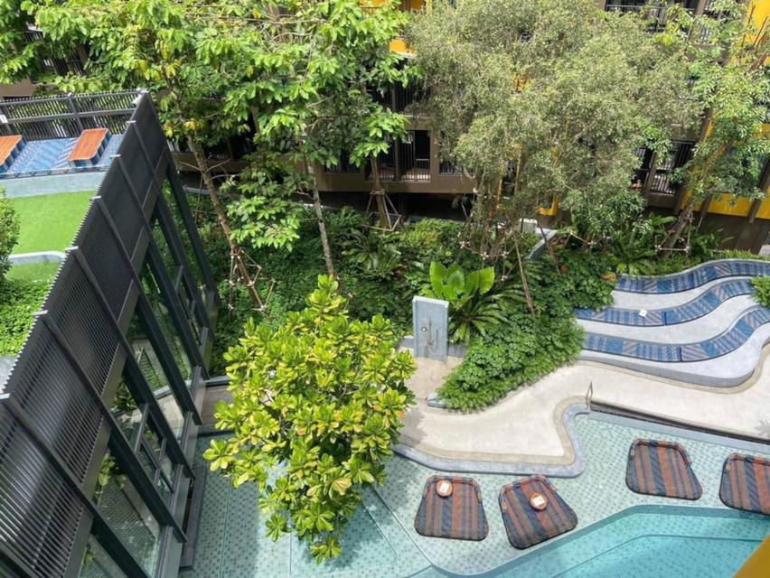 คอนโด เดอะเบส เซ็นทัล ภูเก็ต 2