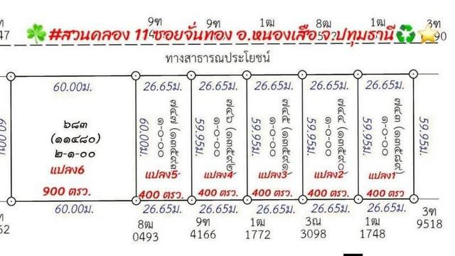 ที่ดินแนวบ้านสวนวิวนาราคาเบาสดผ่อนได้ใกล้วัดป่าคลอง11 Tel 062-1574449 ที่ดิน ใกล้วัดป่าคลอง11 หนองเสือ ปทุมธานี 11