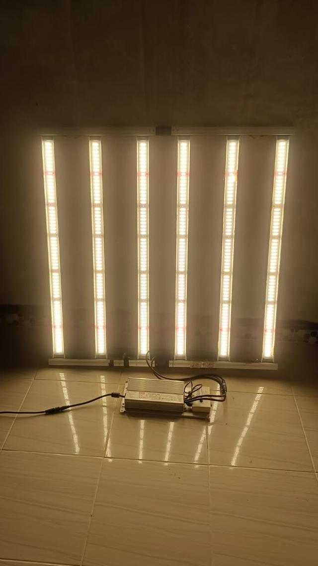 ไฟปลูกต้นไม้ Indoor ไฟปลูกพืช3500k 600w สำหรับปลูกพืชในระบบปิด พืชในร่ม ปรับค่าแสงได้ พลังงานสูง ราคาย่อยเยาว์