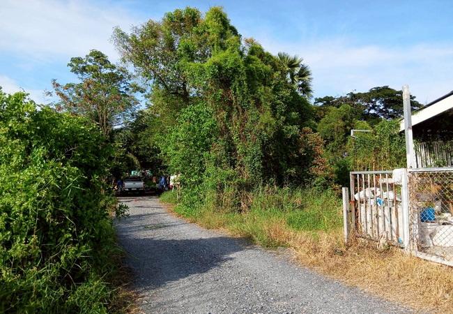 ขายที่ดิน ซอยมิตรไมตรี 14 ถนนมิตรไมตรี แขวงคู้ฝั่งเหนือ เขตหนองจอก กรุงเทพมหานคร 3