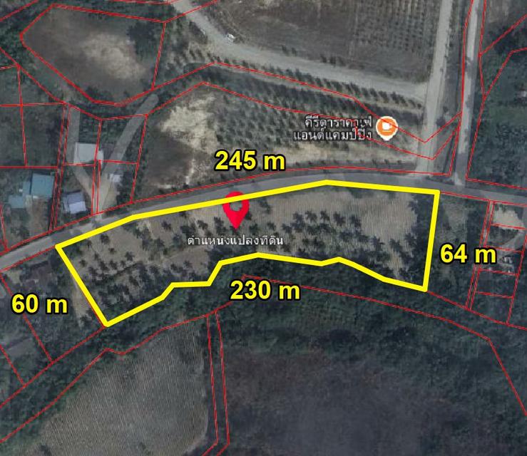 ขายที่ดินหนองขาม บ้านโค้งดาราเนื้อที่ 7 ไร่ ใกล้นิคมปิ่นทอง15กม. อ.ศรีราชา ชลบุรี