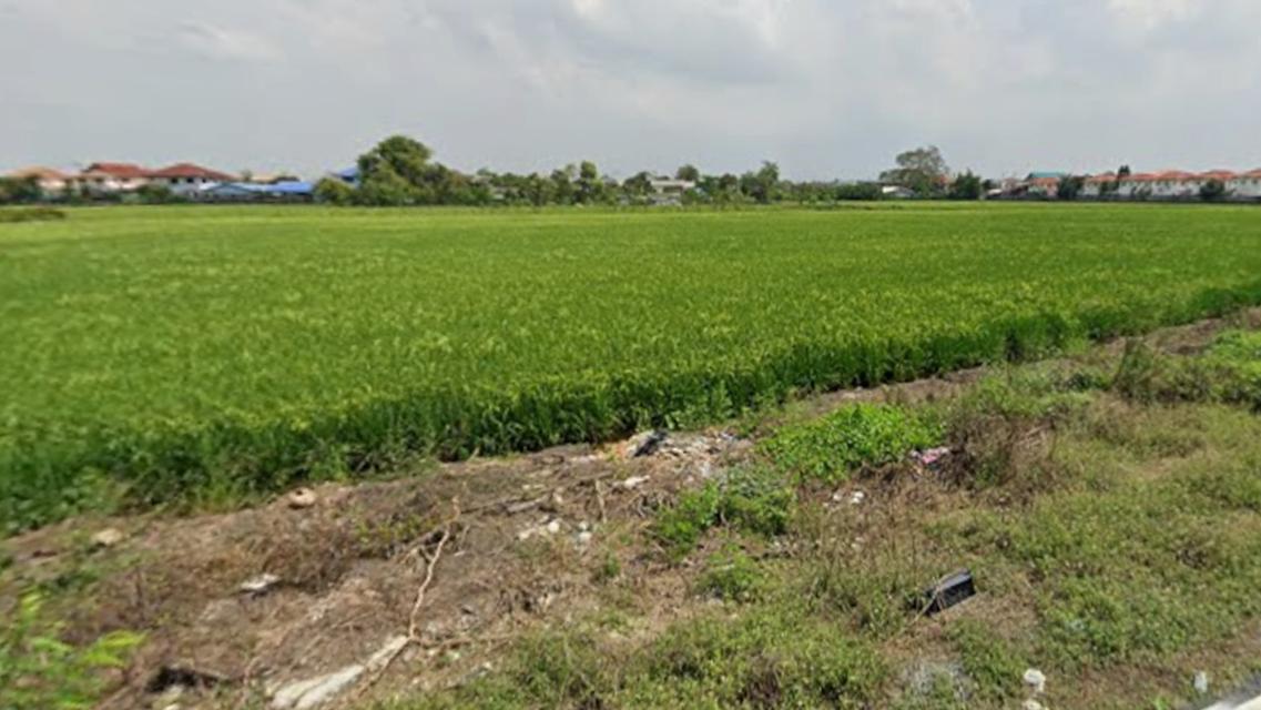 ขายที่ดิน 38 ไร่ ทำเลดีใกล้วัดลาดปลาดุก ทำเลที่มีหมู่บ้านจัดสรรเยอะ เหมาะแก่การลงทุน ติดถนนสาธารณะประโยชน์