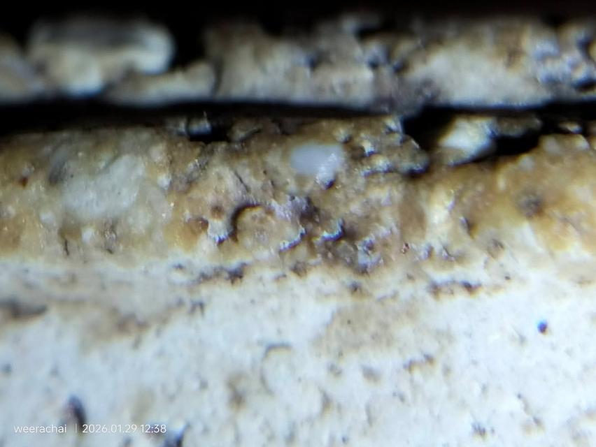 พระสมเด็จวัดระฆังพิมพ์เกศบัวตูม รูปที่ 12