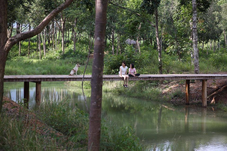 ขายที่เนินหอม เขาใหญ่ 37ไร่ ที่ติดเขาติดน้ำ เนินหอม เมืองปราจีนบุรี มีแหล่งน้ำธรรมชาติ ใกล้ทางขึ้นอุทยานเขาใหญ่ มีน้ำในที่ ขายถูก ที่มีไม้เศรษฐกิจ 14