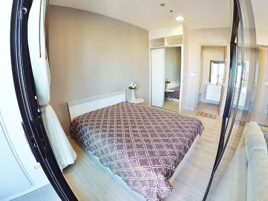 ให้เช่า คอนโด Condolette Midst Rama 9 35 ตรม mrt พระราม9 1