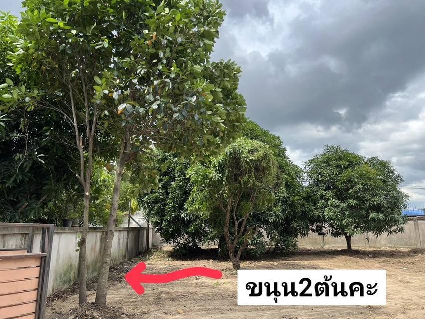 Great vacant land plot 504 m² in Bang Lamung, Chonburi, located in residential area. 6