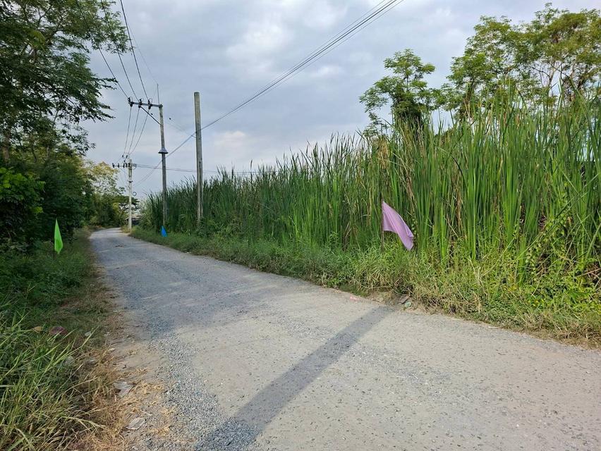 ขายที่ดิน 1 ไร่ หนองจอก ซอยคลองสิบ - คลองสิบสี่ 9 ใกล้ตลาดหนองจอก (N.1973) 1