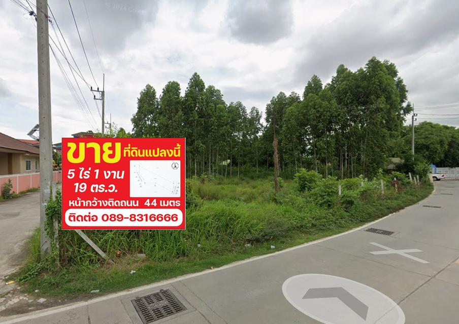 ที่ดิน ถ.ศุขประยูร23 ต.นาป่า อ.เมืองชลบุรี จ.ชลบุรี เนื้อที่ 5-1-19 ไร่ ใกล้โรบินสัน,โฮมโปร,แม็คโคร 1