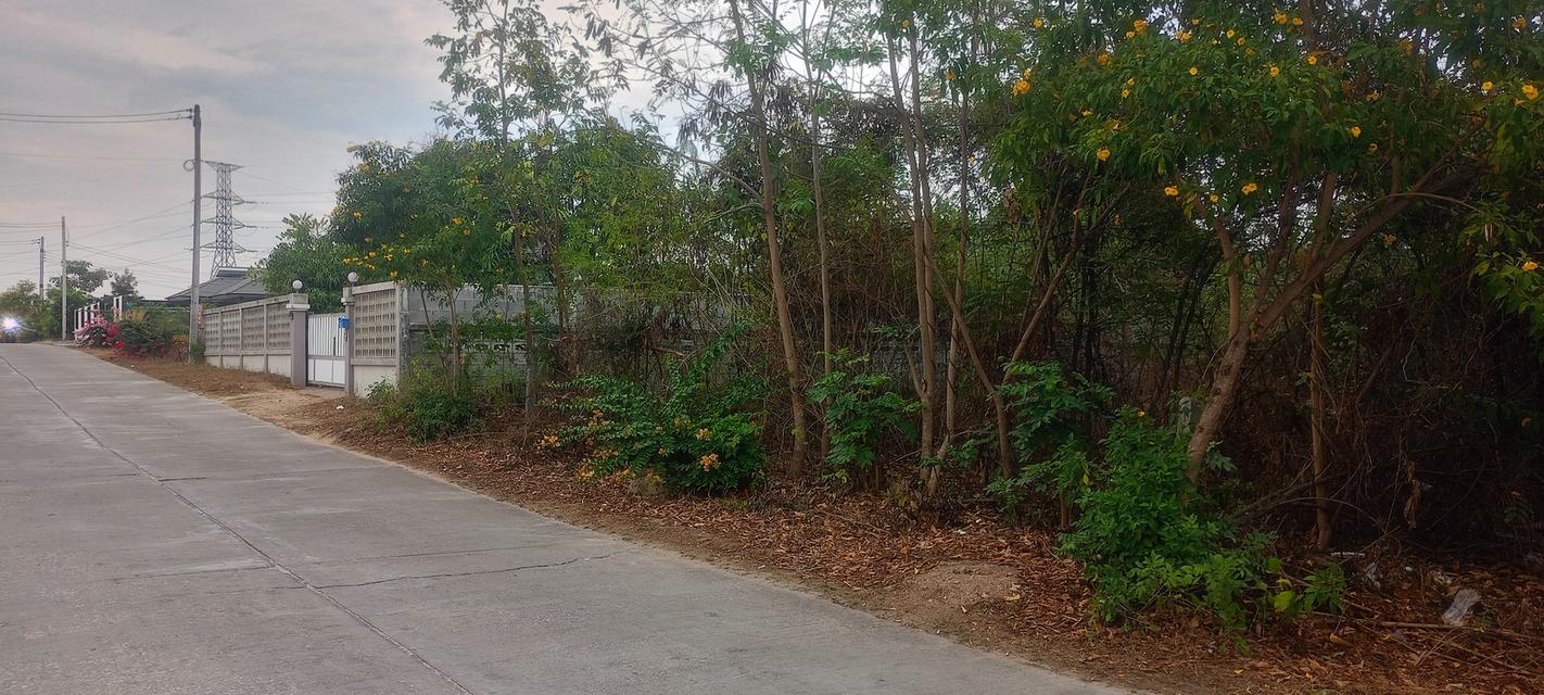 ขายที่ดิน 135 ตารางวา อยู่ปากทางเข้าเขาคันทอง อยู่หลังโลตัส เอ็กซ์เพรส คลองสัก 6