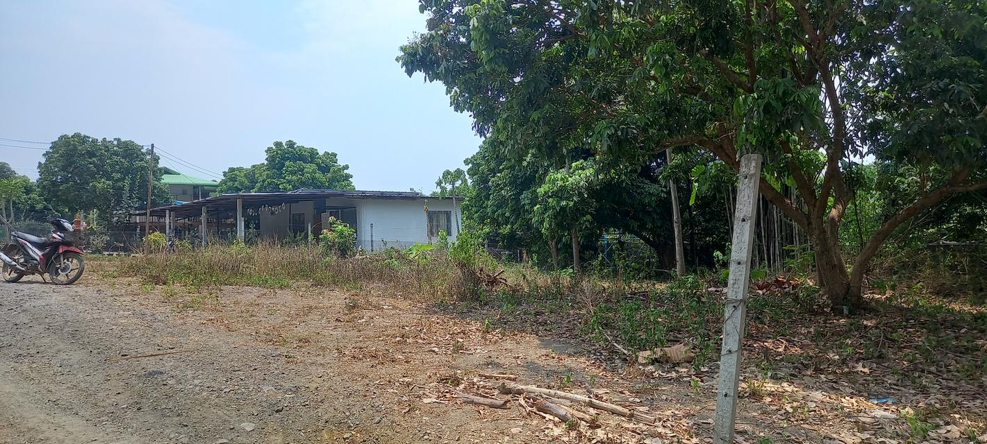 ที่ดินจังหวัดเชียงใหม่ 9