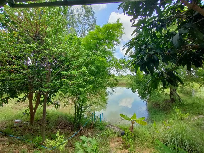 ขายที่ดินเขตอำเภอกระนวน 10 ไร่ 3 ตารางวา 13