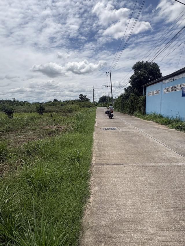 LAND FOR SALE | PHAN THONG, CHONBURI ที่ดินถมแล้วทั้งแปลง 10 ไร่ 77 ตร.ว. | เจ้าของขายเองโดยตรง 11